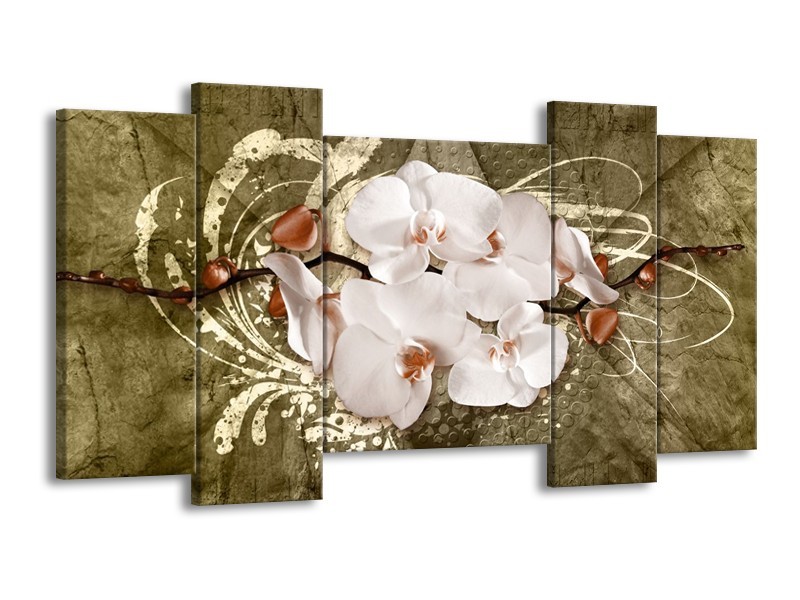 Canvas schilderij Orchidee | Goud, Wit, Bruin | 120x65 5Luik
