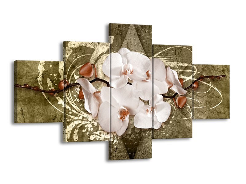 Glas schilderij Orchidee | Goud, Wit, Bruin | 125x70cm 5Luik