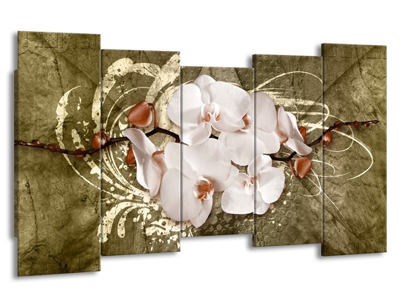 Canvas schilderij Orchidee | Goud, Wit, Bruin | 150x80cm 5Luik