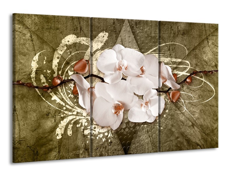 Glas schilderij Orchidee | Goud, Wit, Bruin | 165x100cm 3Luik