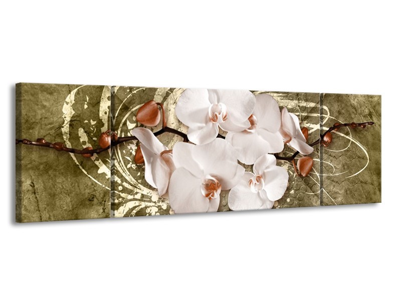 Glas schilderij Orchidee | Goud, Wit, Bruin | 170x50cm 3Luik