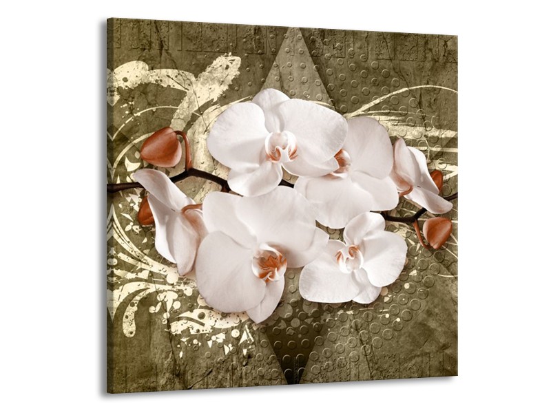 Glas schilderij Orchidee | Goud, Wit, Bruin | 50x50cm 1Luik