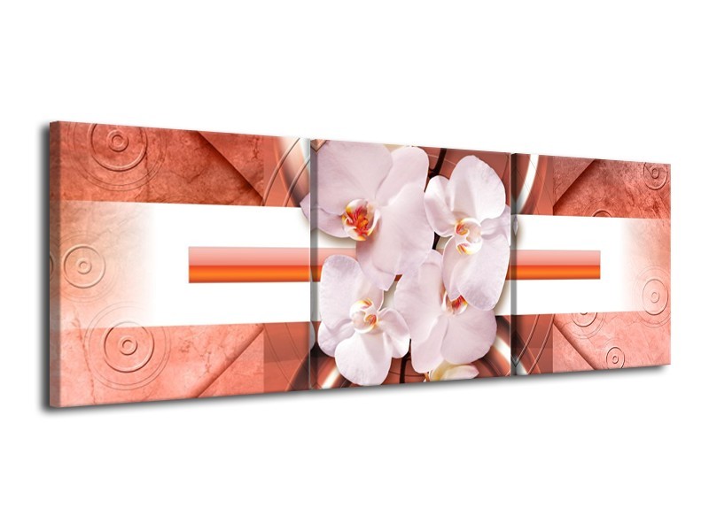 Canvas schilderij Orchidee | Wit, Rood | 120x40cm 3Luik