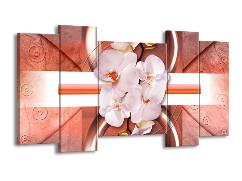 Canvas schilderij Orchidee | Wit, Rood | 120x65 5Luik