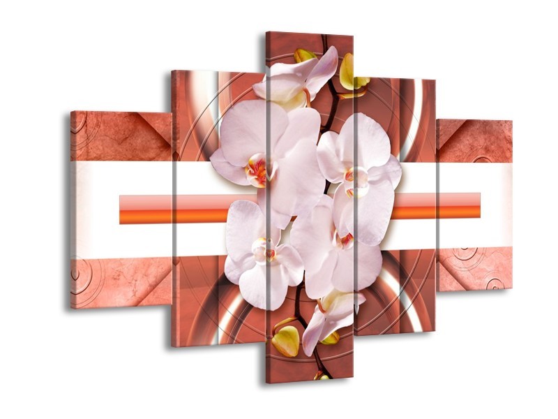 Glas schilderij Orchidee | Wit, Rood | 150x105cm 5Luik