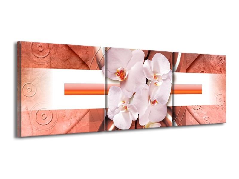 Canvas schilderij Orchidee | Wit, Rood | 150x50cm 3Luik