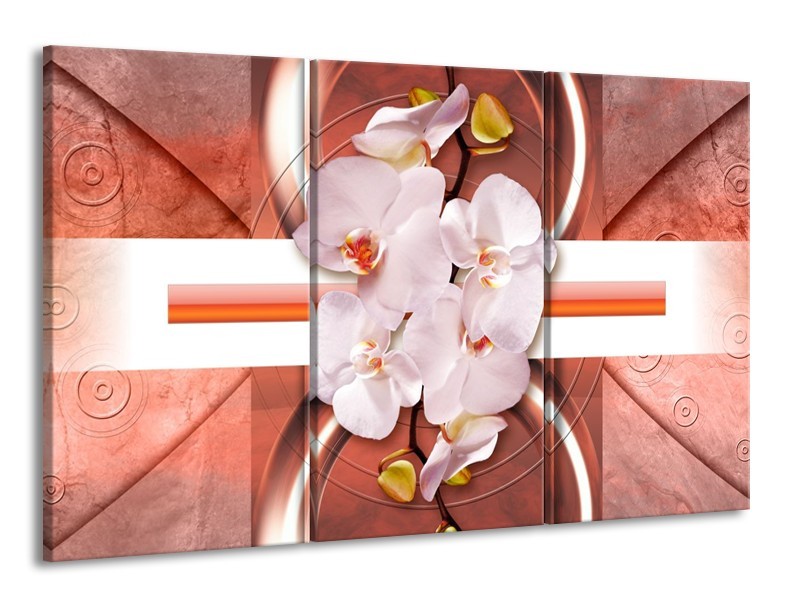 Canvas schilderij Orchidee | Wit, Rood | 165x100cm 3Luik