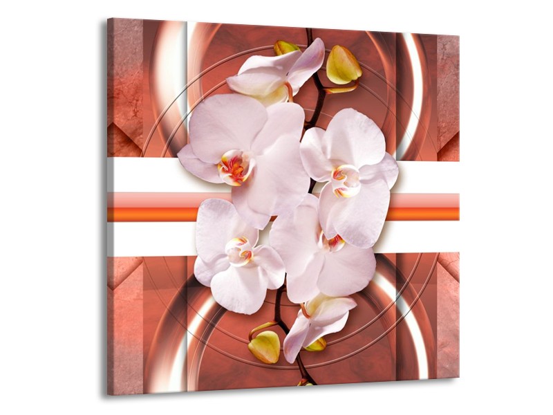 Canvas schilderij Orchidee | Wit, Rood | 70x70cm 1Luik