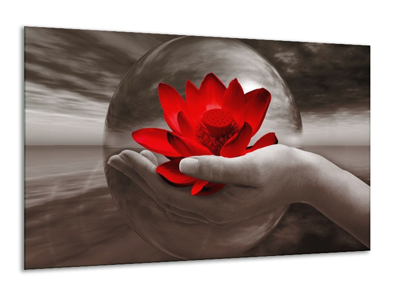 Glas schilderij Bloem | Rood, Sepia, Grijs | 120x70cm 1Luik