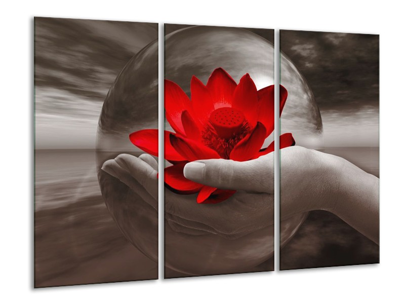 Canvas schilderij Bloem | Rood, Sepia, Grijs | 120x80cm 3Luik