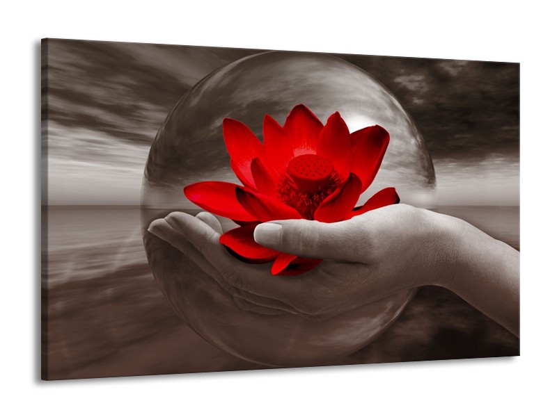 Glas schilderij Bloem | Rood, Sepia, Grijs | 140x90cm 1Luik