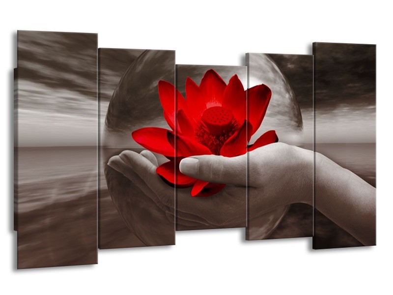 Canvas schilderij Bloem | Rood, Sepia, Grijs | 150x80cm 5Luik