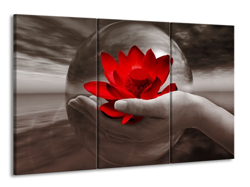Glas schilderij Bloem | Rood, Sepia, Grijs | 165x100cm 3Luik