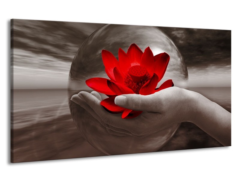 Canvas schilderij Bloem | Rood, Sepia, Grijs | 190x100cm 1Luik