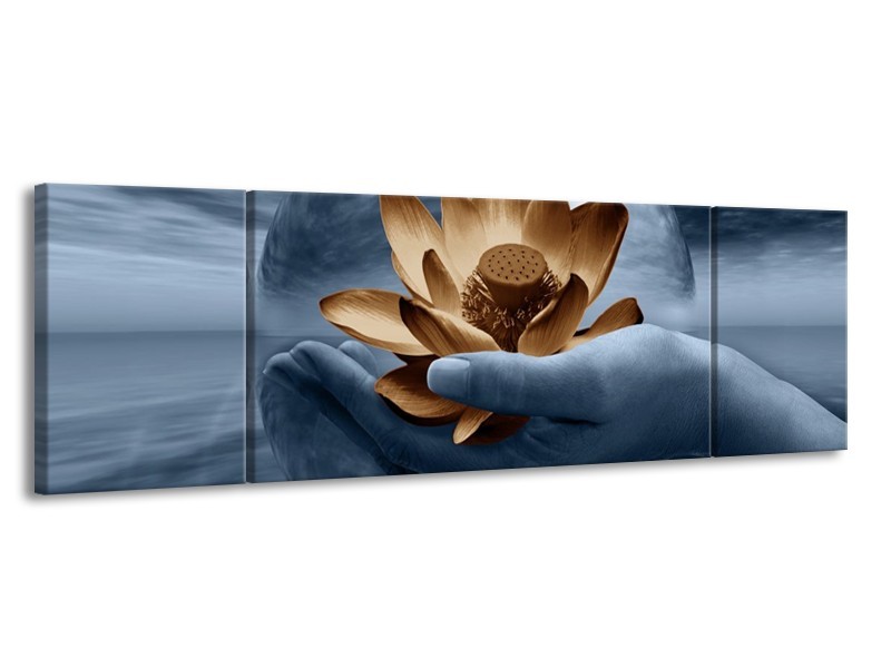 Canvas schilderij Bloem | Grijs, Blauw, Bruin | 170x50cm 3Luik