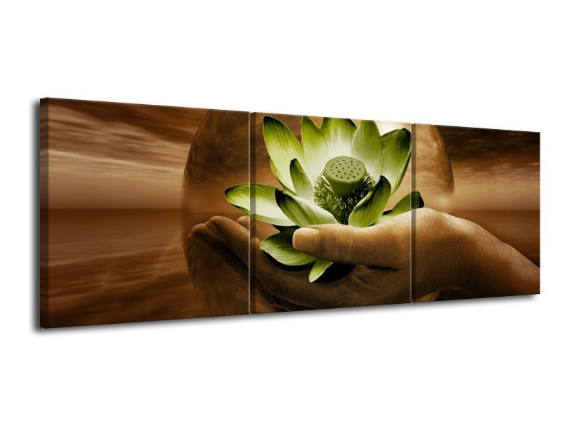 Canvas schilderij Bloem | Groen, Bruin | 120x40cm 3Luik