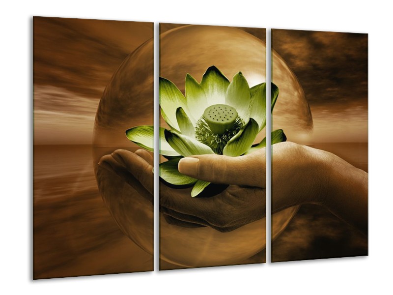 Glas schilderij Bloem | Groen, Bruin | 120x80cm 3Luik