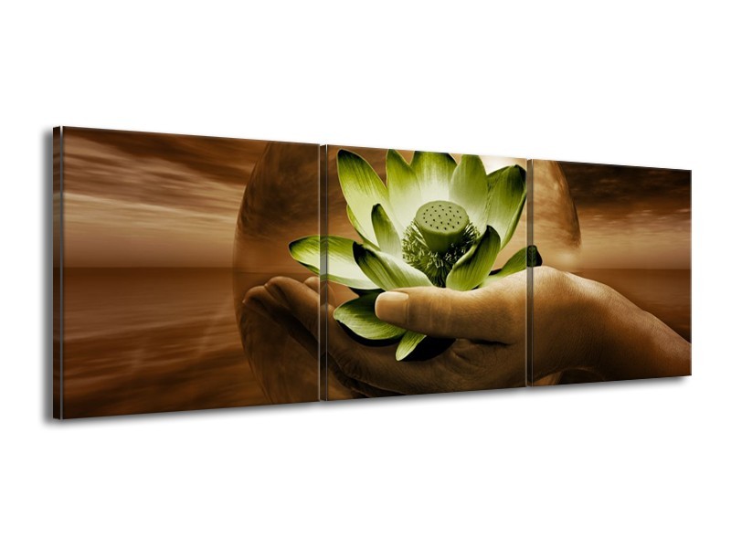 Glas schilderij Bloem | Groen, Bruin | 150x50cm 3Luik