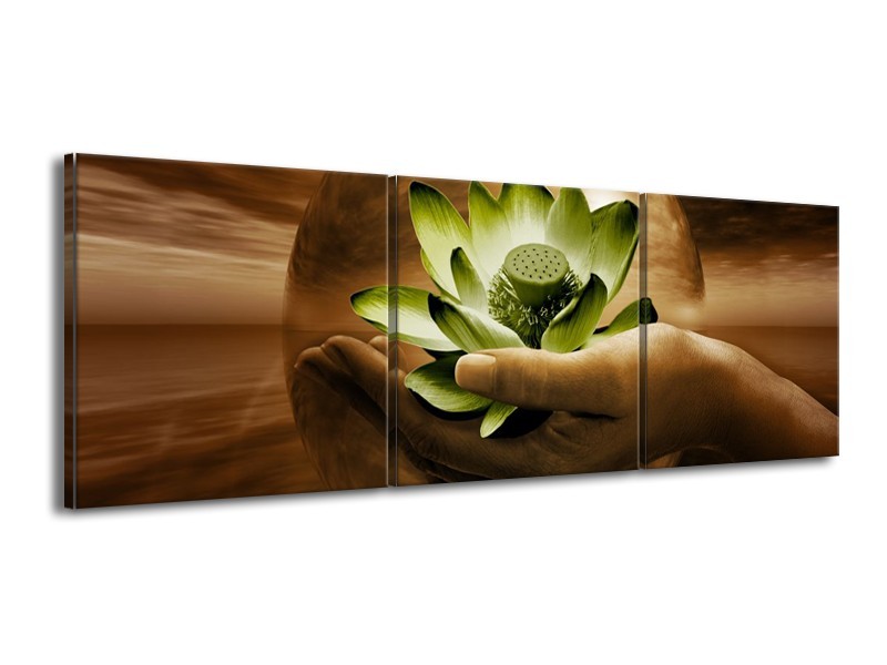 Canvas schilderij Bloem | Groen, Bruin | 150x50cm 3Luik