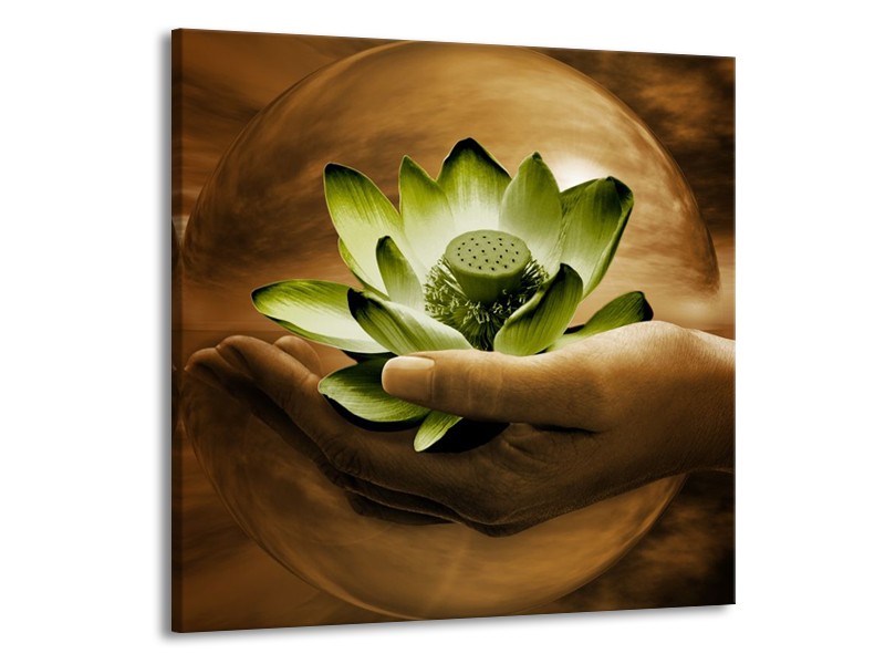 Canvas schilderij Bloem | Groen, Bruin | 70x70cm 1Luik