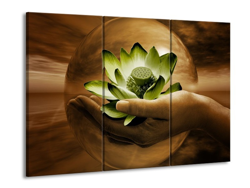 Canvas schilderij Bloem | Groen, Bruin | 90x60cm 3Luik