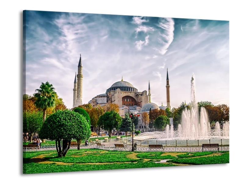 Glas schilderij Natuur | Groen, Grijs | 100x70cm 1Luik