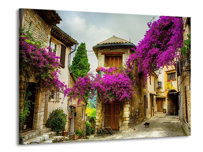 Glas schilderij Natuur | Paars, Crème | 100x70cm 1Luik