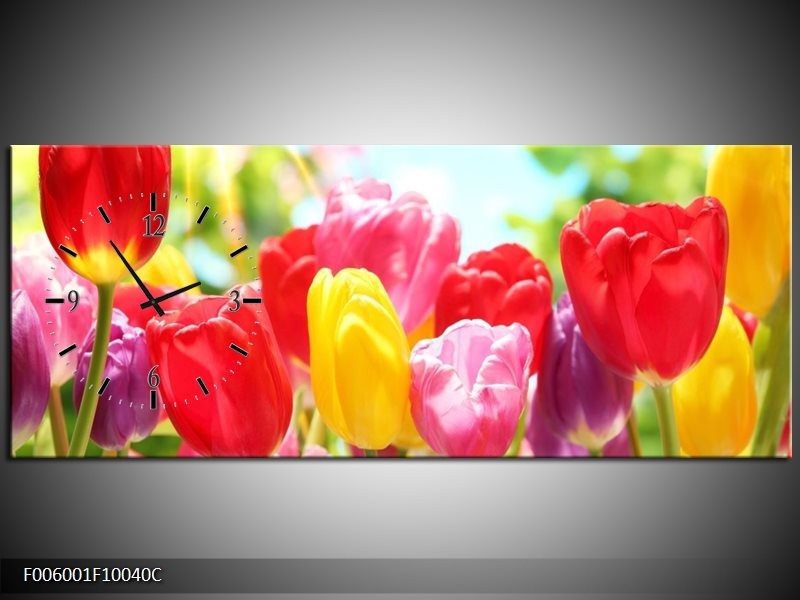 Klok schilderij Tulpen | Rood, Geel, Paars | 100x40cm 1Luik