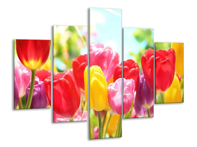 Canvas schilderij Tulpen | Rood, Geel, Paars | 100x70cm 5Luik
