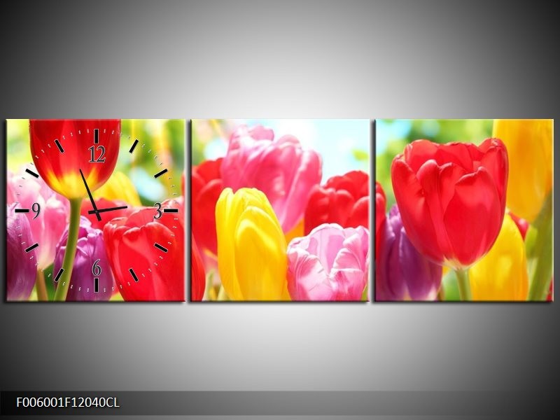 Klok schilderij Tulpen | Rood, Geel, Paars | 120x40cm 3Luik
