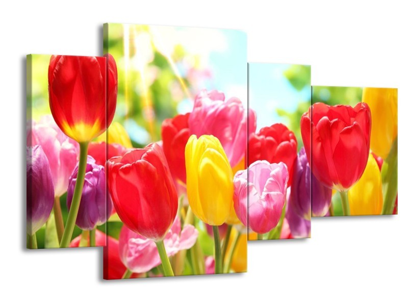 Canvas schilderij Tulpen | Rood, Geel, Paars | 120x75cm 4Luik