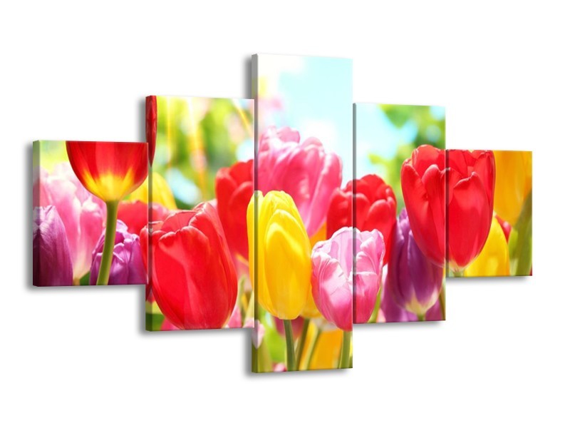 Canvas schilderij Tulpen | Rood, Geel, Paars | 125x70cm 5Luik