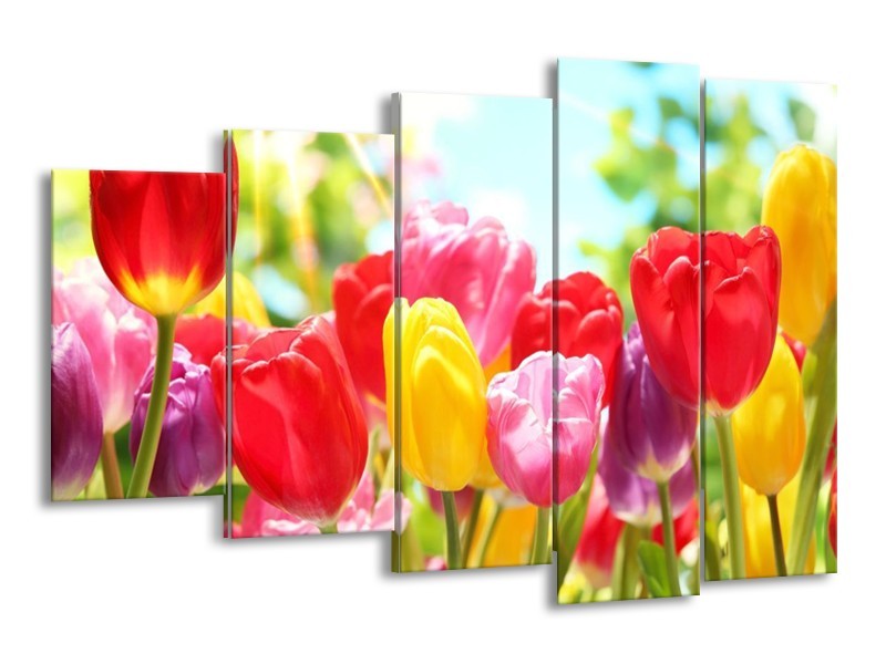 Canvas schilderij Tulpen | Rood, Geel, Paars | 150x100cm 5Luik