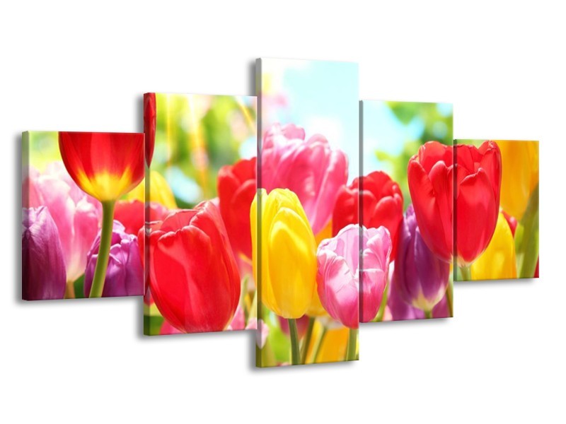 Canvas schilderij Tulpen | Rood, Geel, Paars | 150x80cm 5Luik