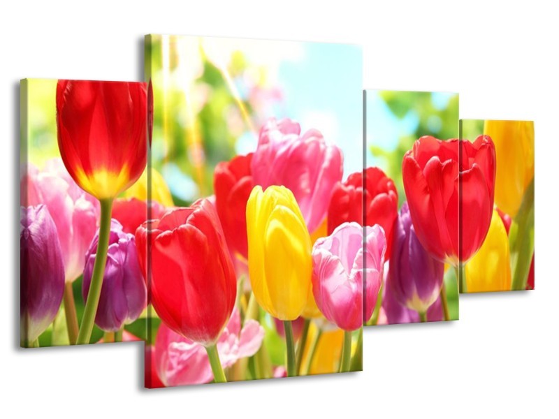 Canvas schilderij Tulpen | Rood, Geel, Paars | 160x90cm 4Luik