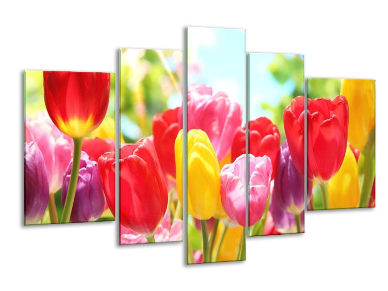 Canvas schilderij Tulpen | Rood, Geel, Paars | 170x100cm 5Luik