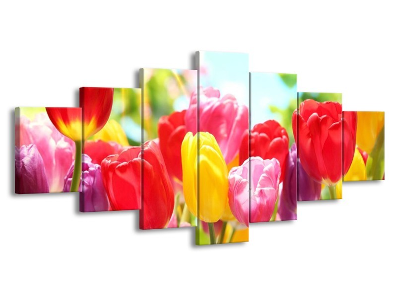 Glas schilderij Tulpen | Rood, Geel, Paars | 210x100cm 7Luik
