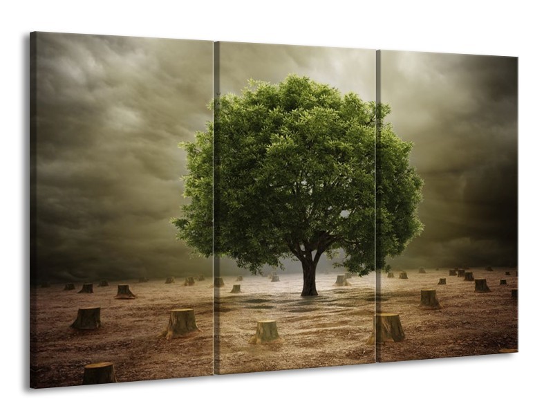 Canvas schilderij Boom | Groen, Grijs, Bruin | 165x100cm 3Luik