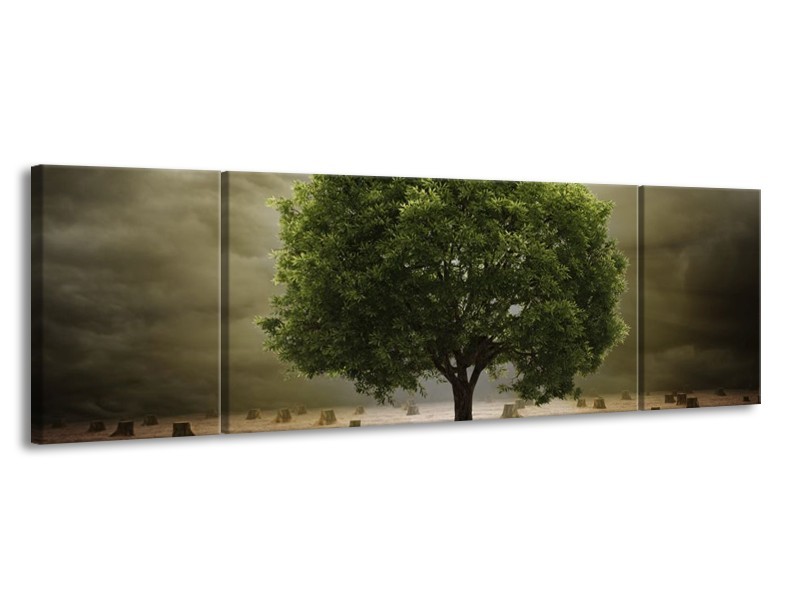 Glas schilderij Boom | Groen, Grijs, Bruin | 170x50cm 3Luik