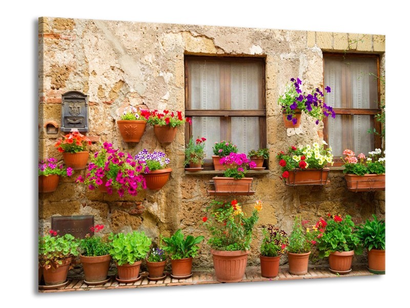 Glas schilderij Huis | Groen, Bruin | 100x70cm 1Luik