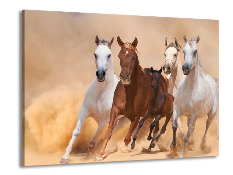 Glas schilderij Paard | Bruin, Wit, Crème | 100x70cm 1Luik