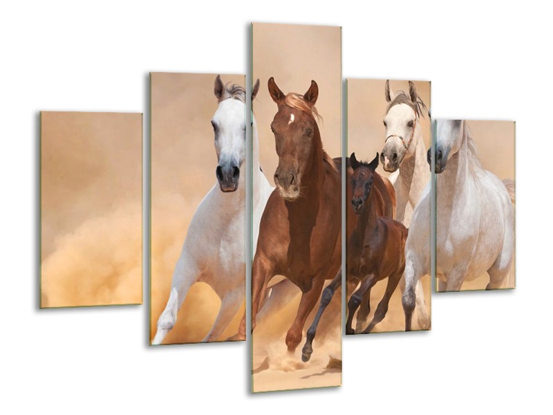 Canvas schilderij Paard | Bruin, Wit, Crème | 100x70cm 5Luik