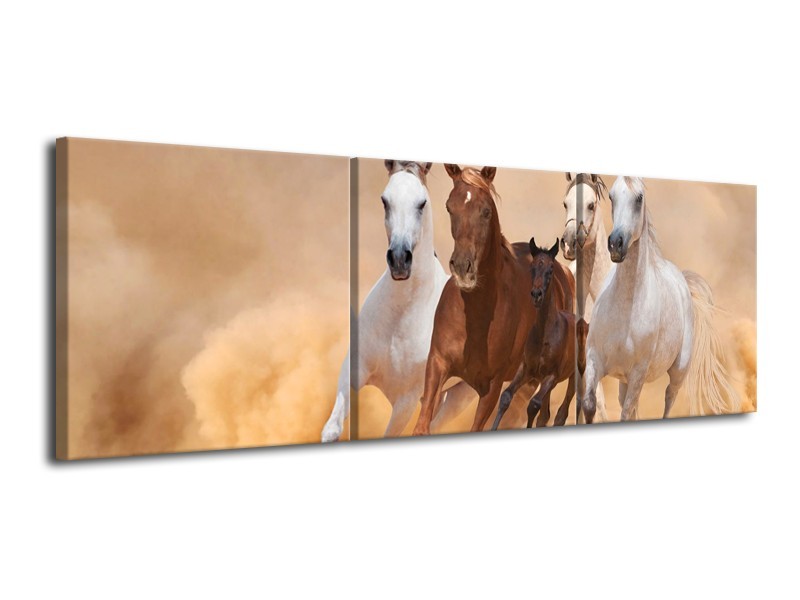 Canvas schilderij Paard | Bruin, Wit, Crème | 120x40cm 3Luik