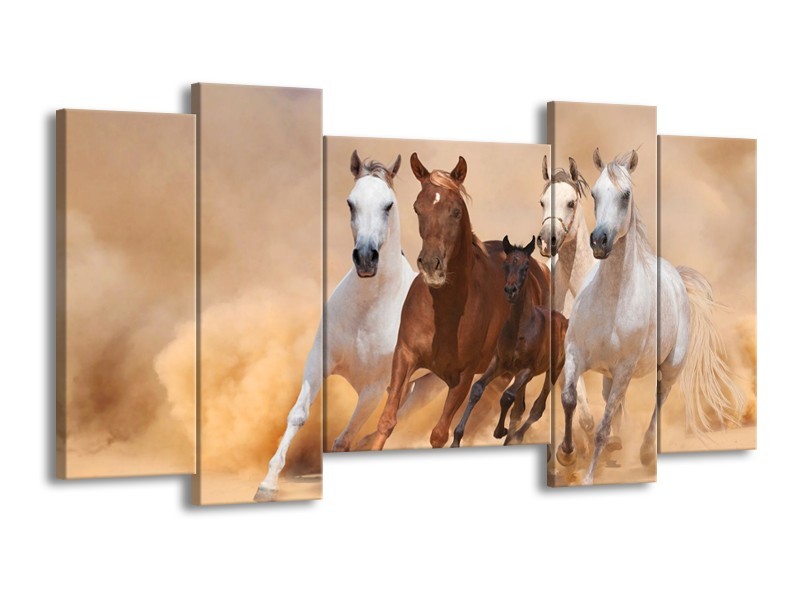 Canvas schilderij Paard | Bruin, Wit, Crème | 120x65 5Luik