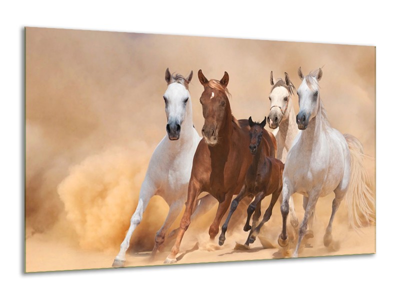 Glas schilderij Paard | Bruin, Wit, Crème | 120x70cm 1Luik