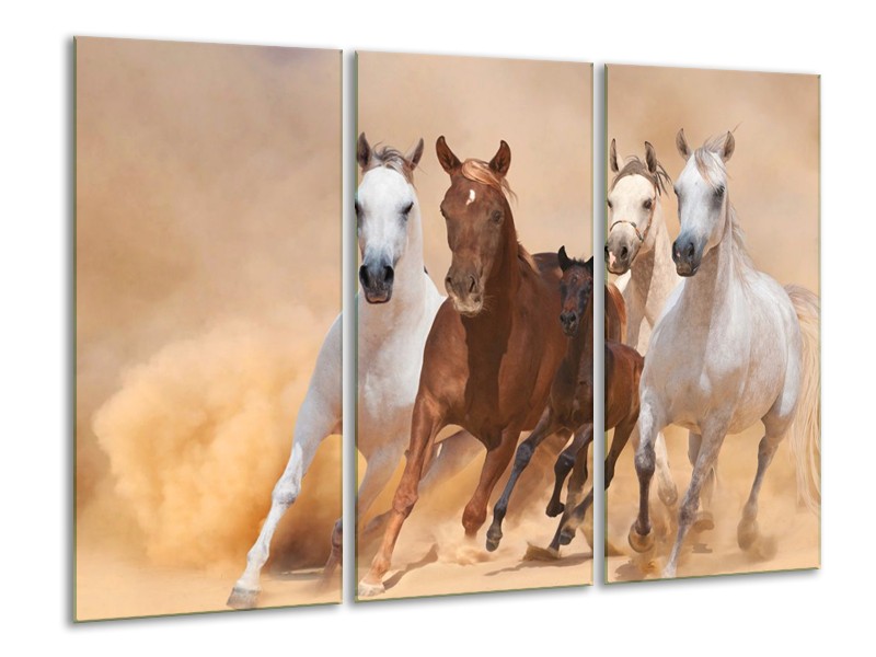 Canvas schilderij Paard | Bruin, Wit, Crème | 120x80cm 3Luik