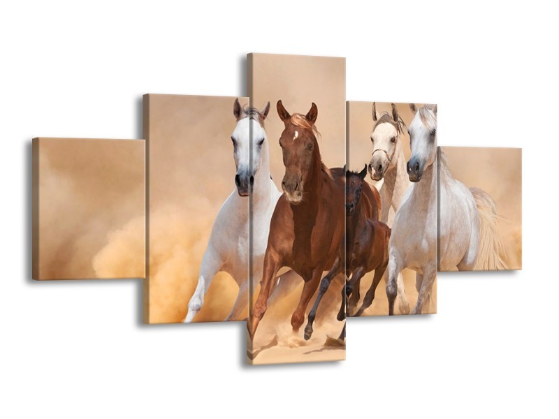 Canvas schilderij Paard | Bruin, Wit, Crème | 125x70cm 5Luik