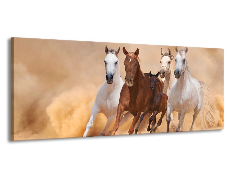 Canvas schilderij Paard | Bruin, Wit, Crème | 145x58cm 1Luik