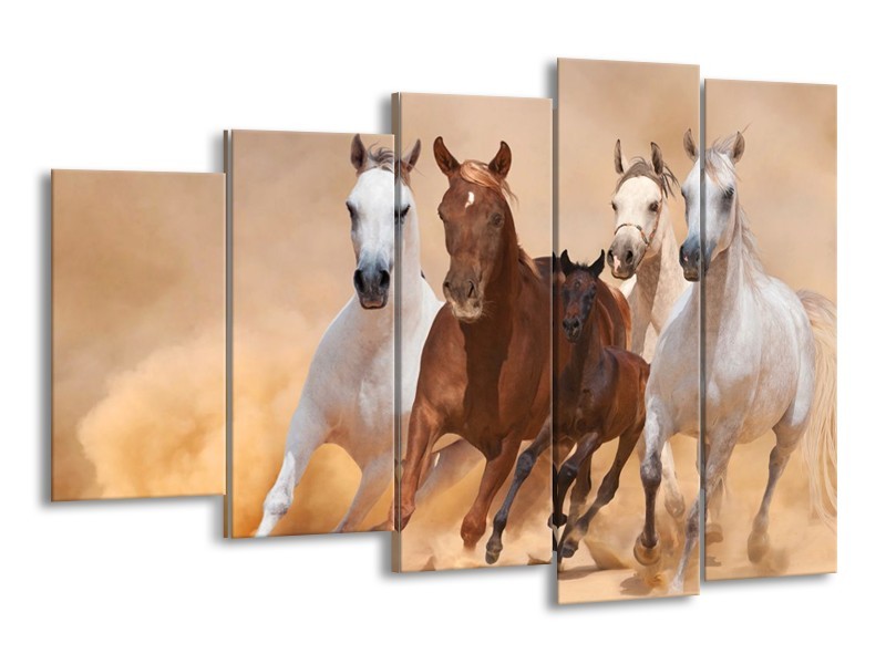 Canvas schilderij Paard | Bruin, Wit, Crème | 150x100cm 5Luik