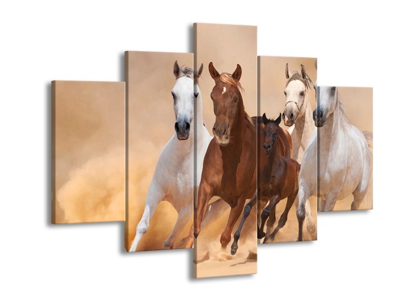 Canvas schilderij Paard | Bruin, Wit, Crème | 150x105cm 5Luik